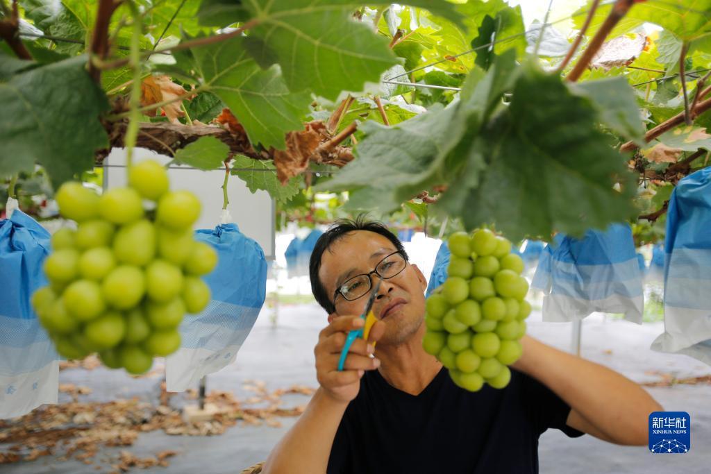 博万通娱乐登录地址